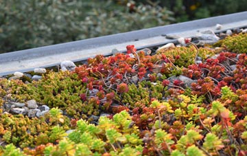 the cost of Matson green roof installation