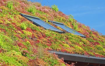 Matson living roof systems