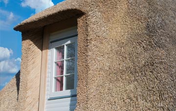 Matson thatch roof disadvantages